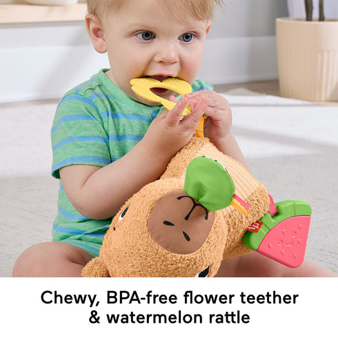 Fisher Price Sensimals Snuggly Snacky Capy